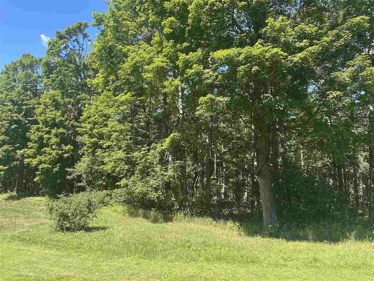 863 Aronimink Harbor Springs MI 49740
