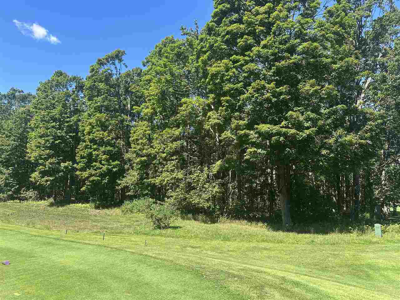 863 Aronimink Harbor Springs MI 49740