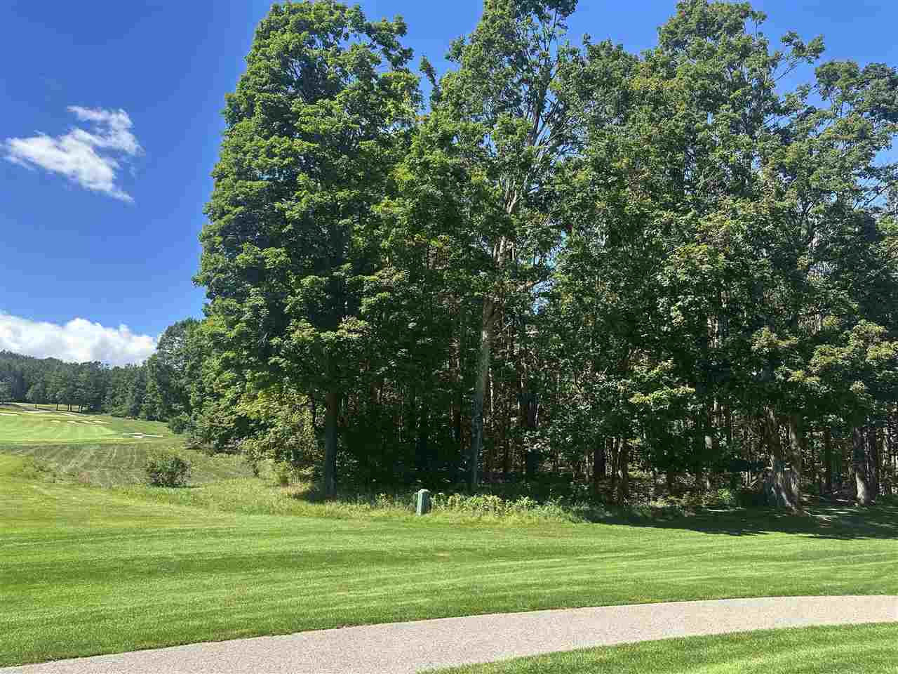863 Aronimink Harbor Springs MI 49740