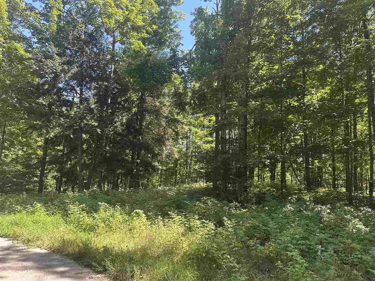 863 Aronimink Harbor Springs MI 49740