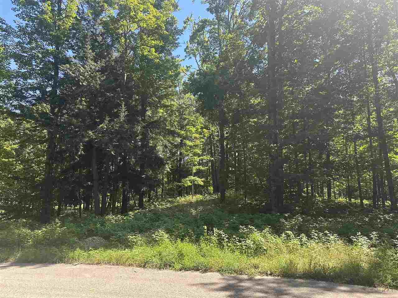 863 Aronimink Harbor Springs MI 49740