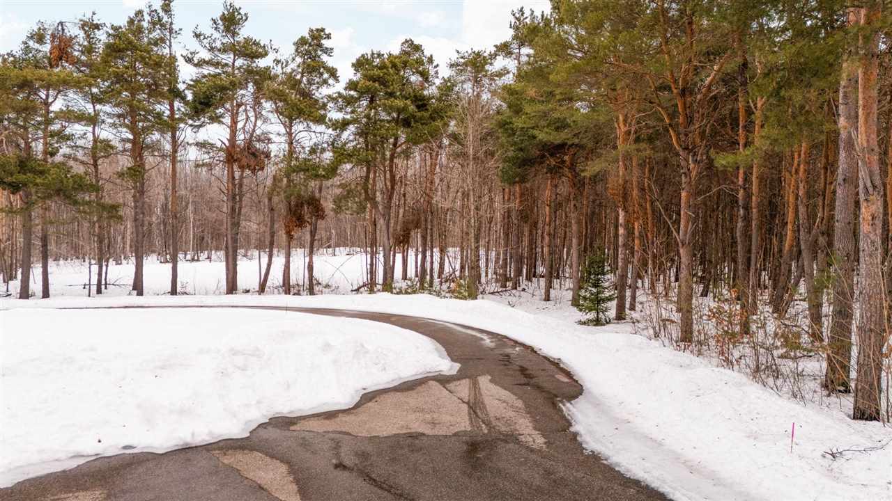 2057 Sanctuary Drive Harbor Springs MI 49740