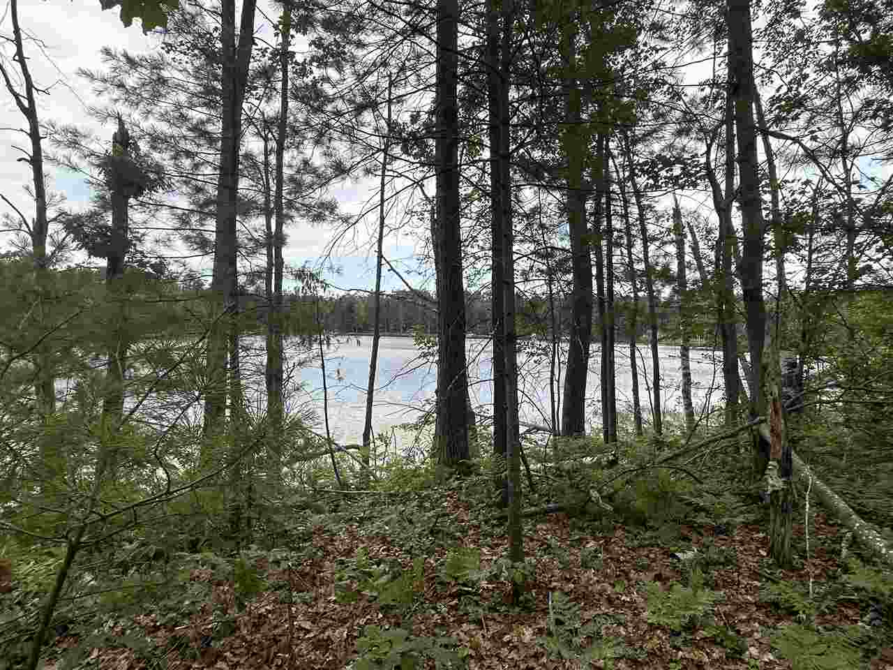 Lot 27 S Perch Lake Drive Gaylord MI 49735