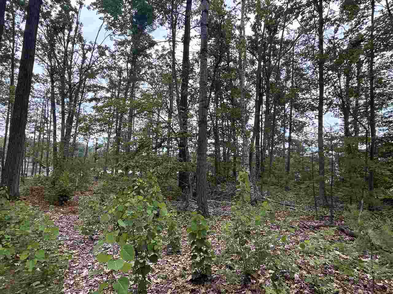 Lot 27 S Perch Lake Drive Gaylord MI 49735