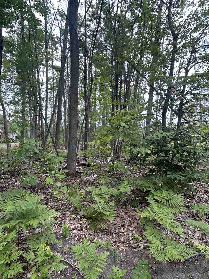 Lot 27 S Perch Lake Drive Gaylord MI 49735