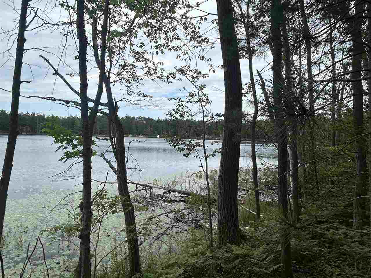 Lot 27 S Perch Lake Drive Gaylord MI 49735