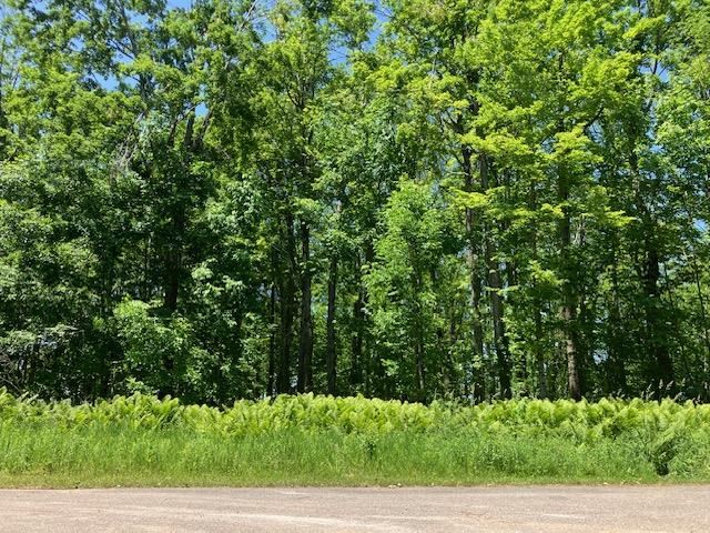Tbd Maple Isle Court Alanson MI 49706