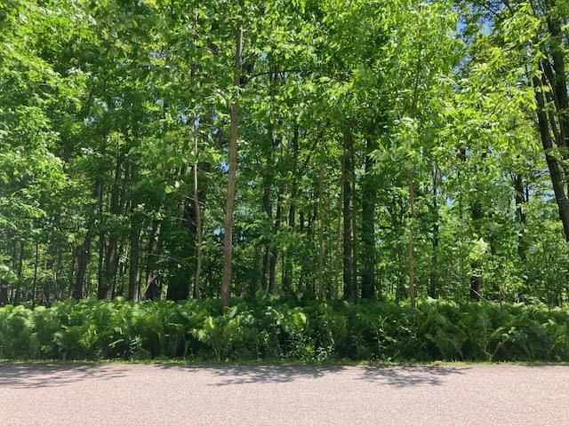 Tbd Maple Isle Court Alanson MI 49706