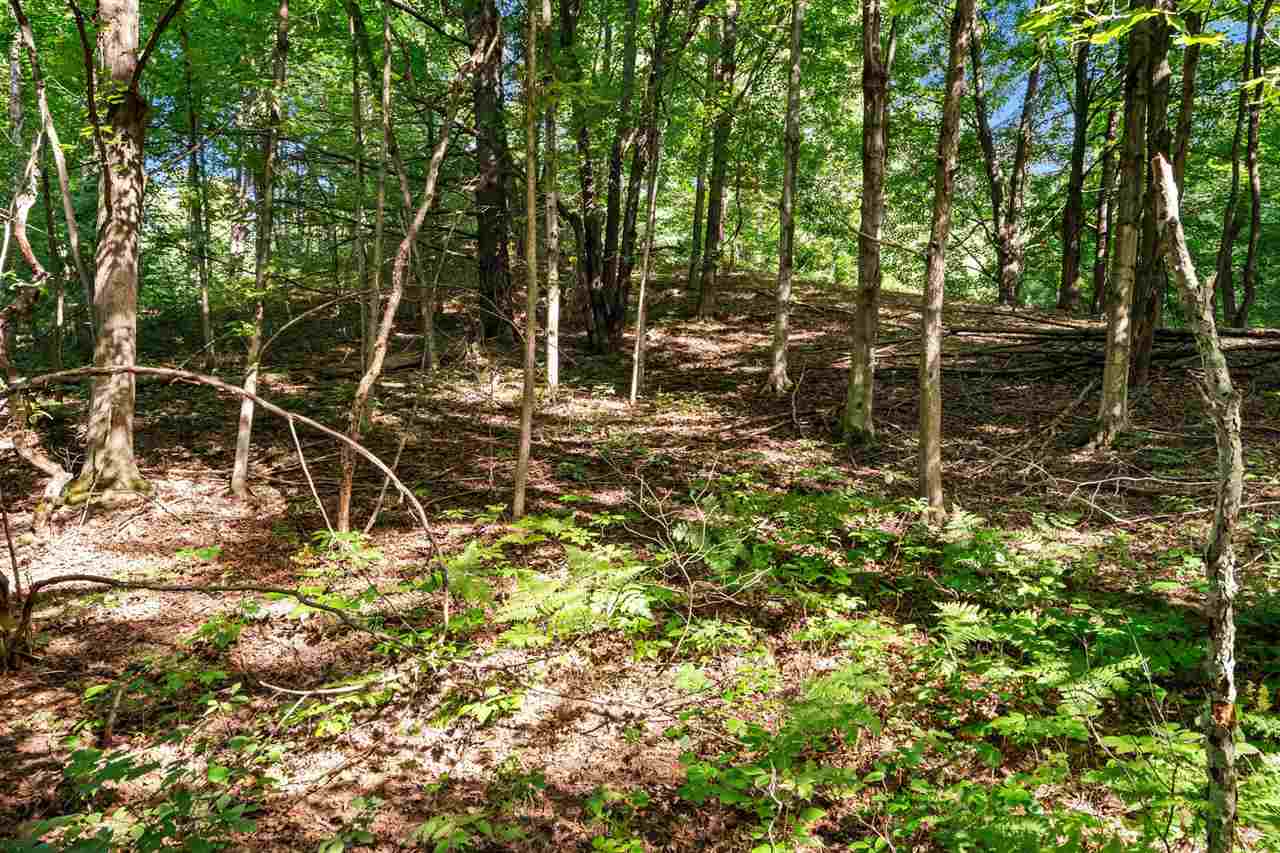 Tbd Alden Meadows Drive Alden MI 49612