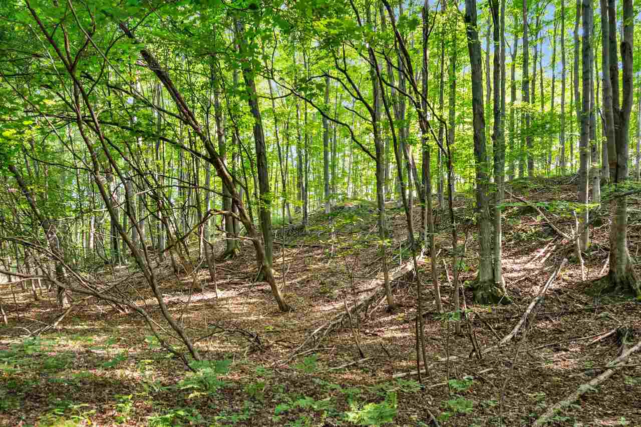 Tbd Alden Meadows Drive Alden MI 49612