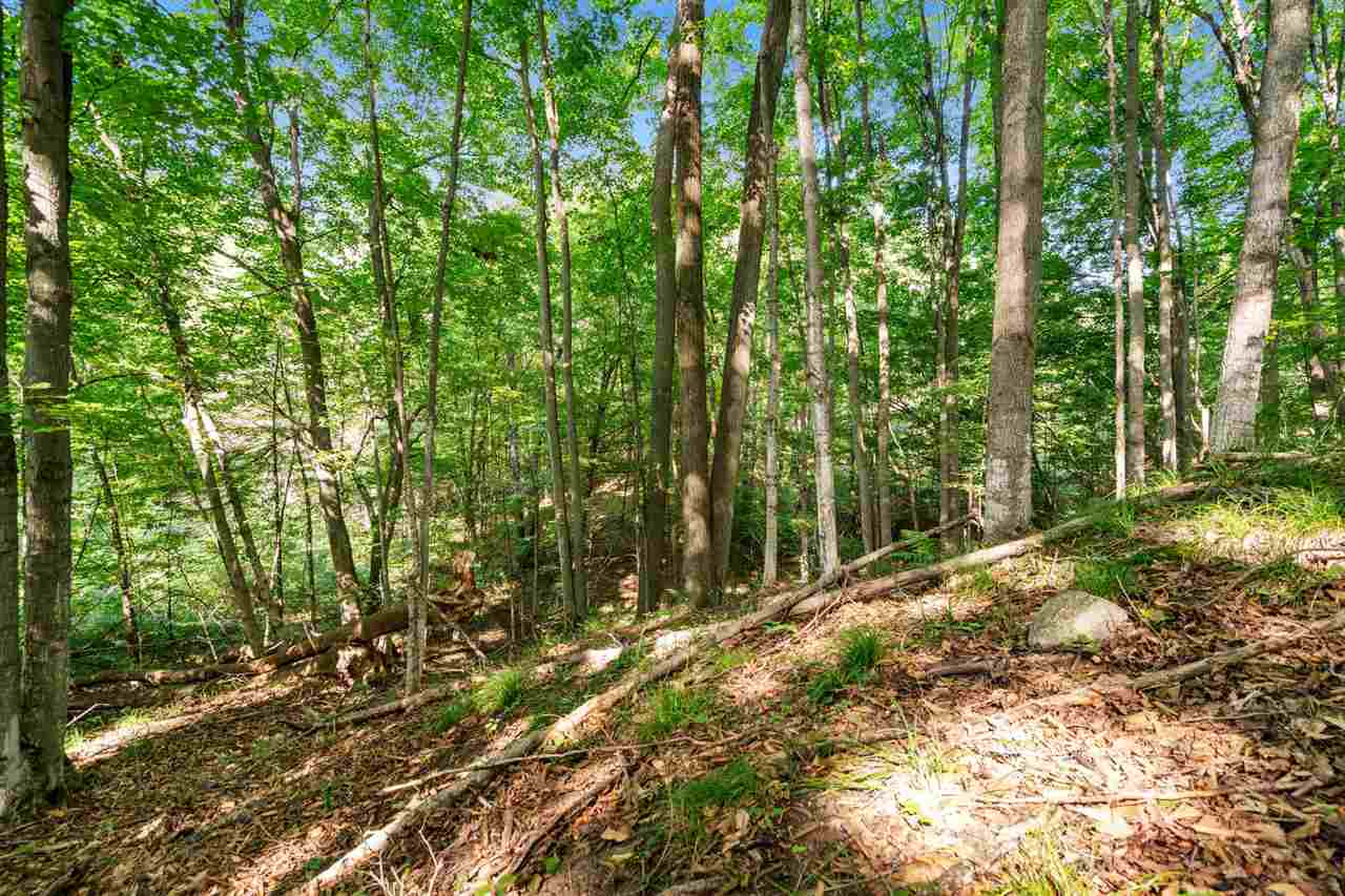 Tbd Alden Meadows Drive Alden MI 49612