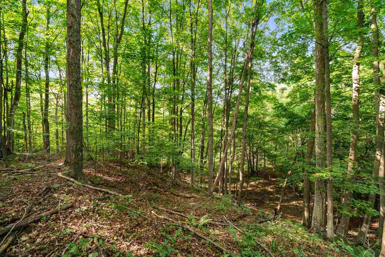 Tbd Alden Meadows Drive Alden MI 49612