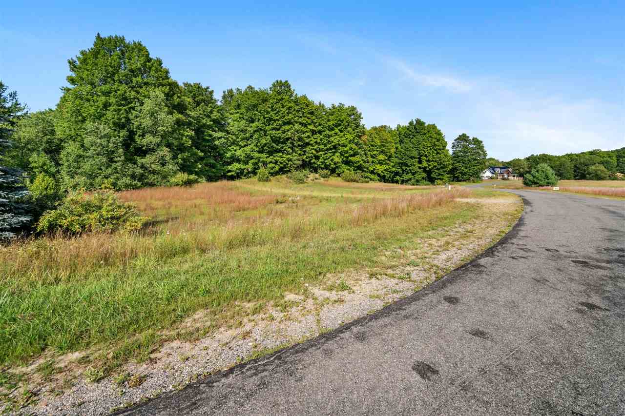 Tbd Alden Meadows Drive Alden MI 49612