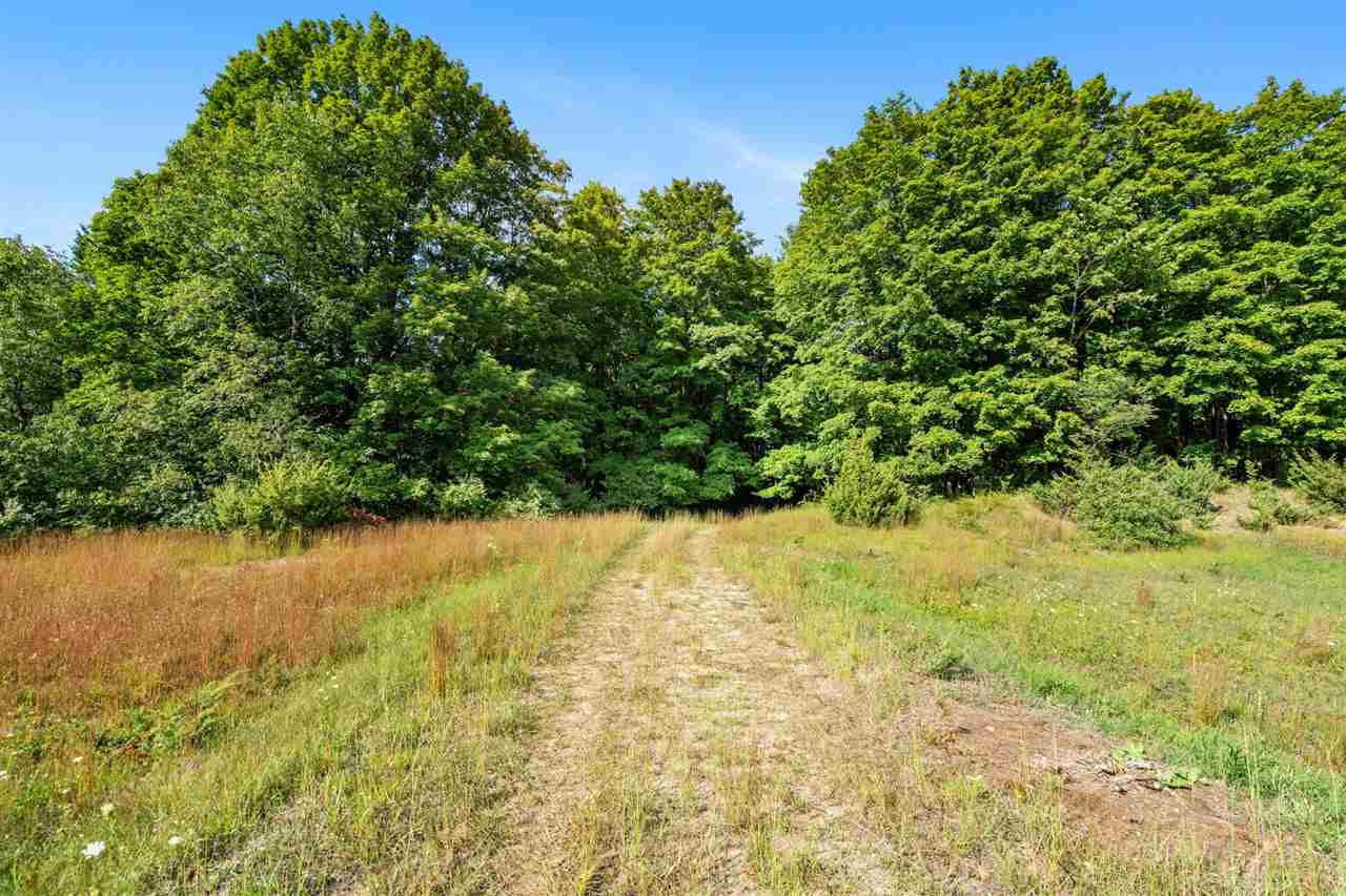 Tbd Alden Meadows Drive Alden MI 49612
