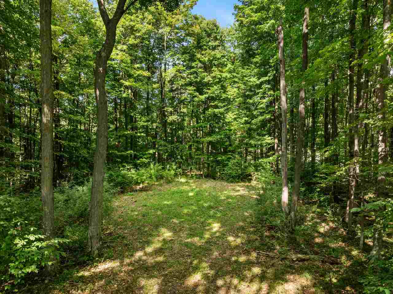 Tbd Alden Meadows Drive Alden MI 49612
