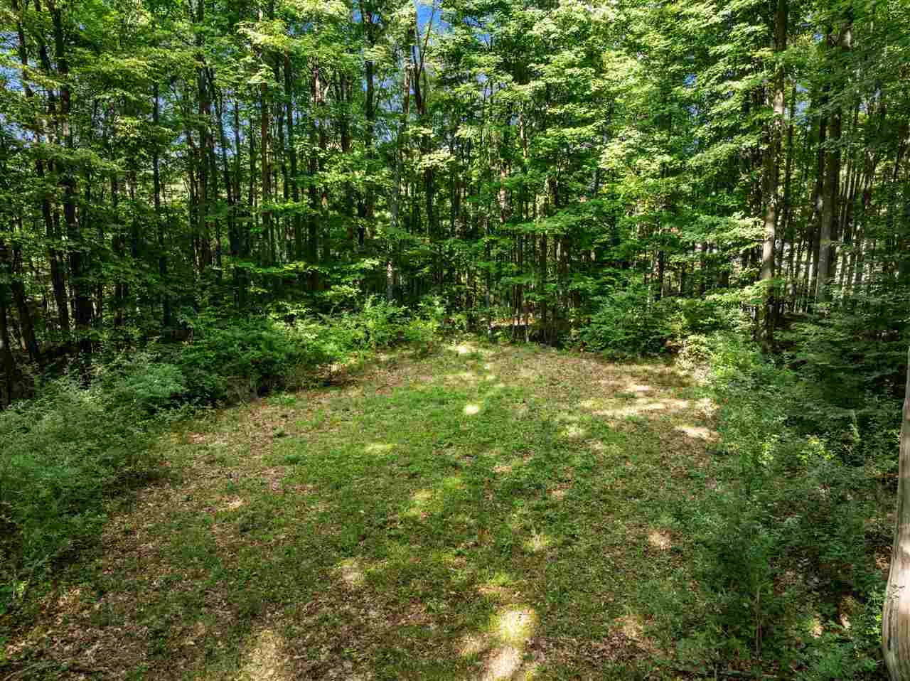 Tbd Alden Meadows Drive Alden MI 49612