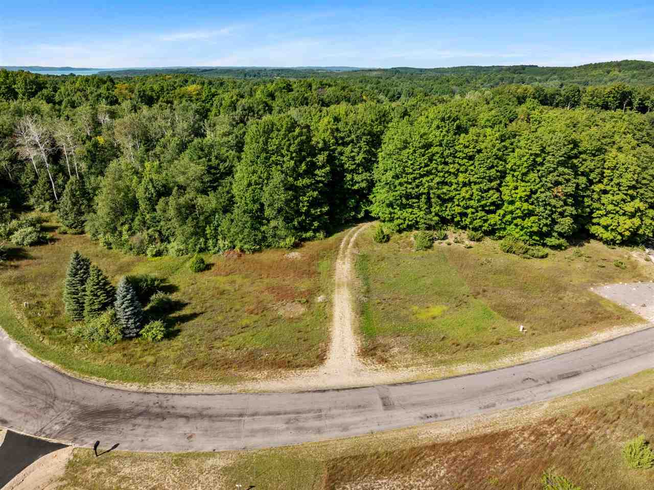 Tbd Alden Meadows Drive Alden MI 49612