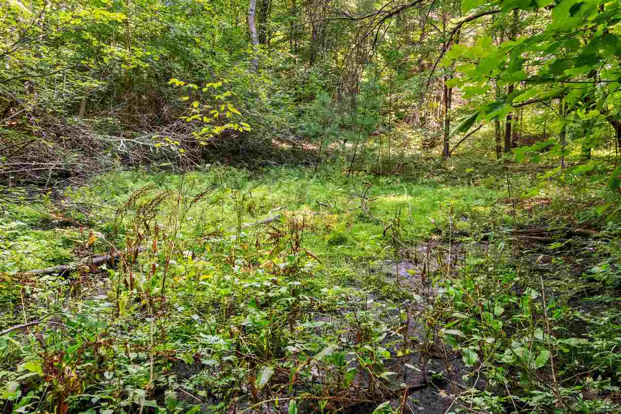 Tbd Alden Meadows Drive Alden MI 49612