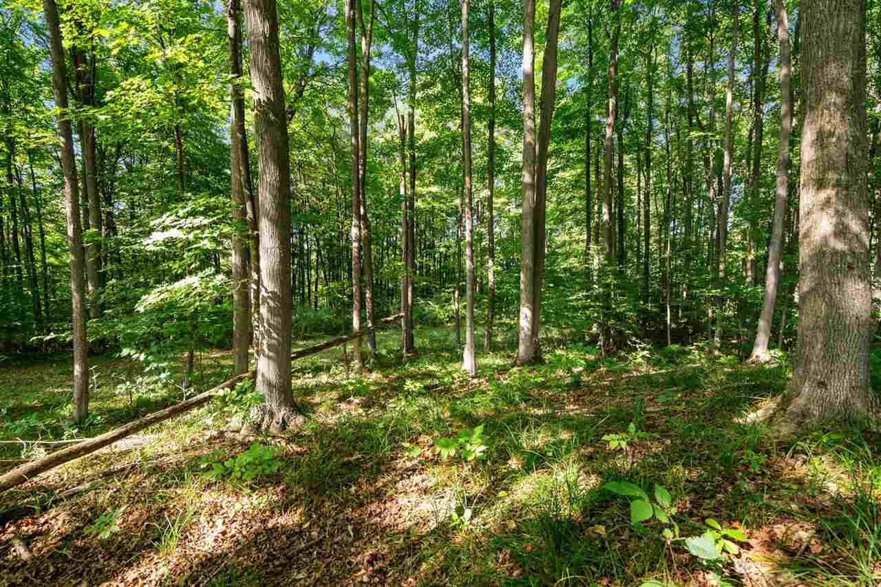 Tbd Alden Meadows Drive Alden MI 49612