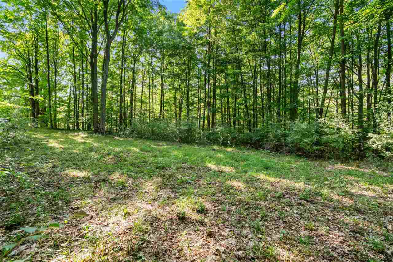 Tbd Alden Meadows Drive Alden MI 49612