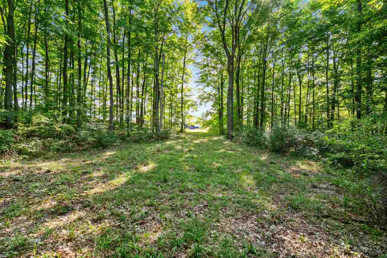 Tbd Alden Meadows Drive Alden MI 49612