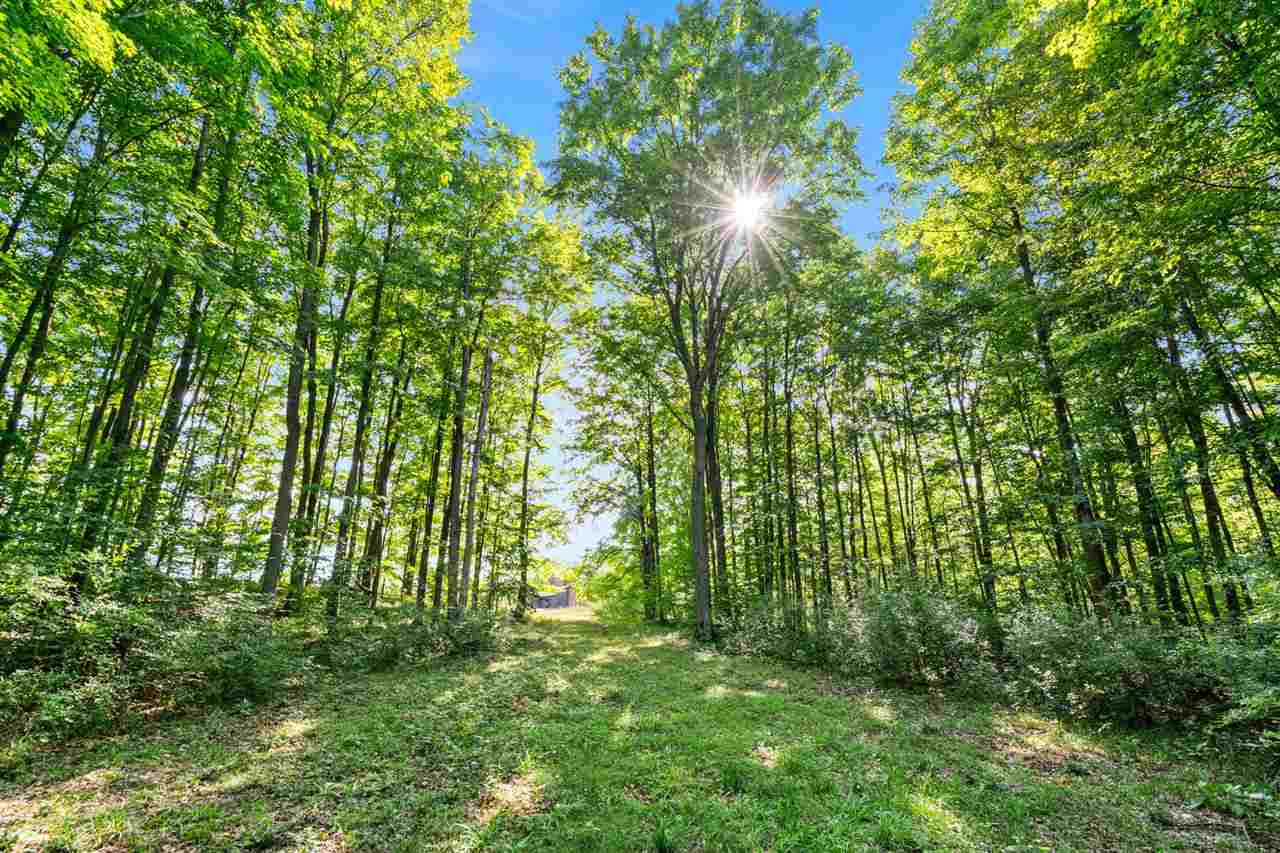 Tbd Alden Meadows Drive Alden MI 49612