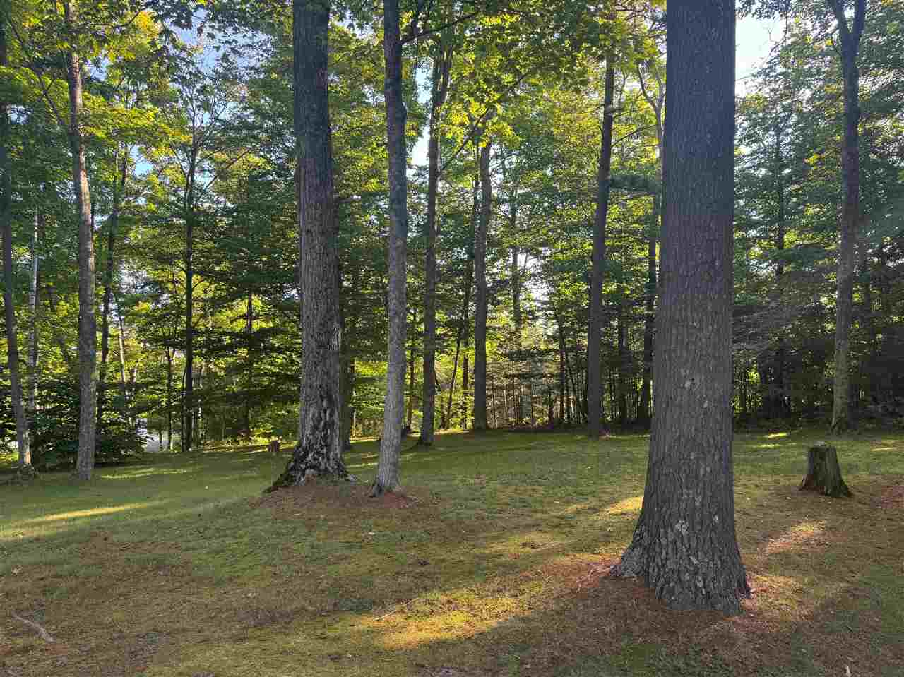 Vl .65 Ac Ridge Road Mackinaw City MI 49701