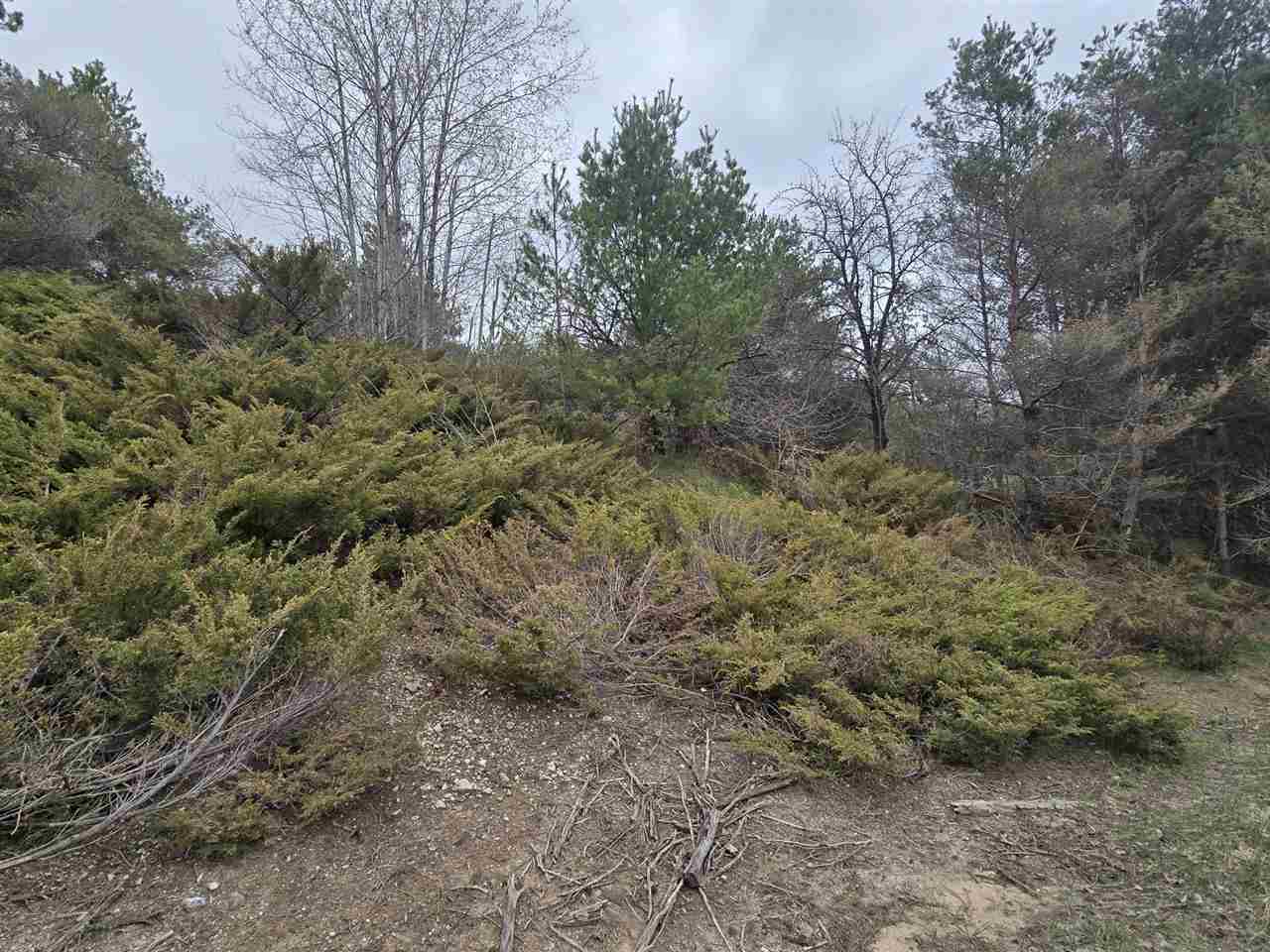 4936 Johnston Hill Road Harbor Springs MI 49740