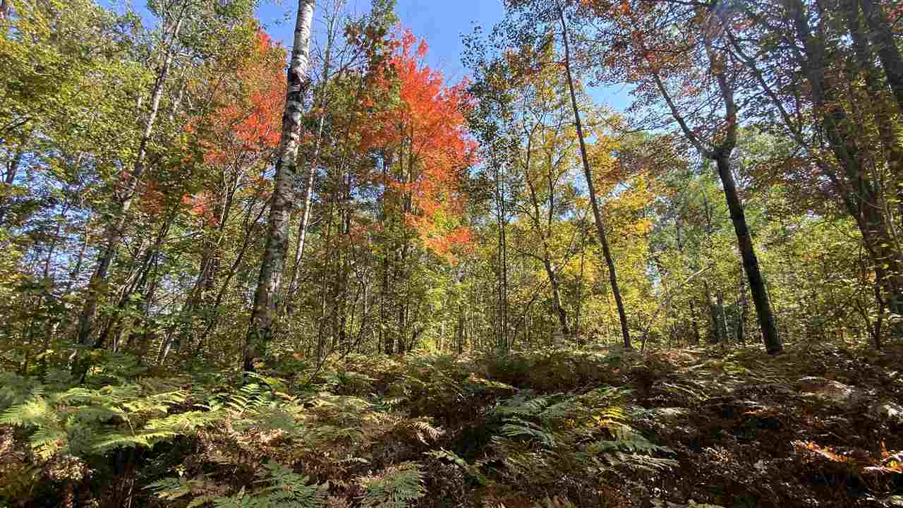 Lot 135 Montrose Drive Mancelona MI 49659