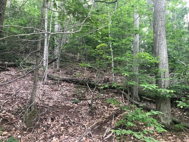 Tbd Seldon Road Petoskey MI 49770