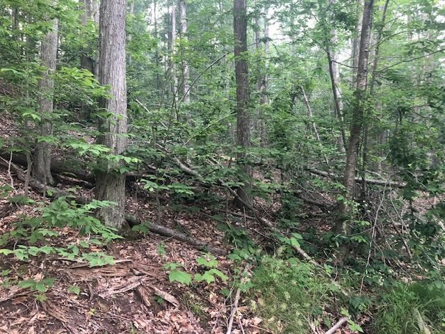 Tbd Seldon Road Petoskey MI 49770
