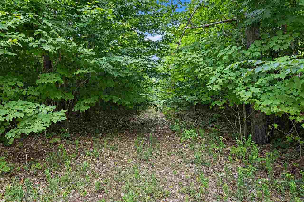 Lot 308 Goshawk Way Bellaire MI 49615