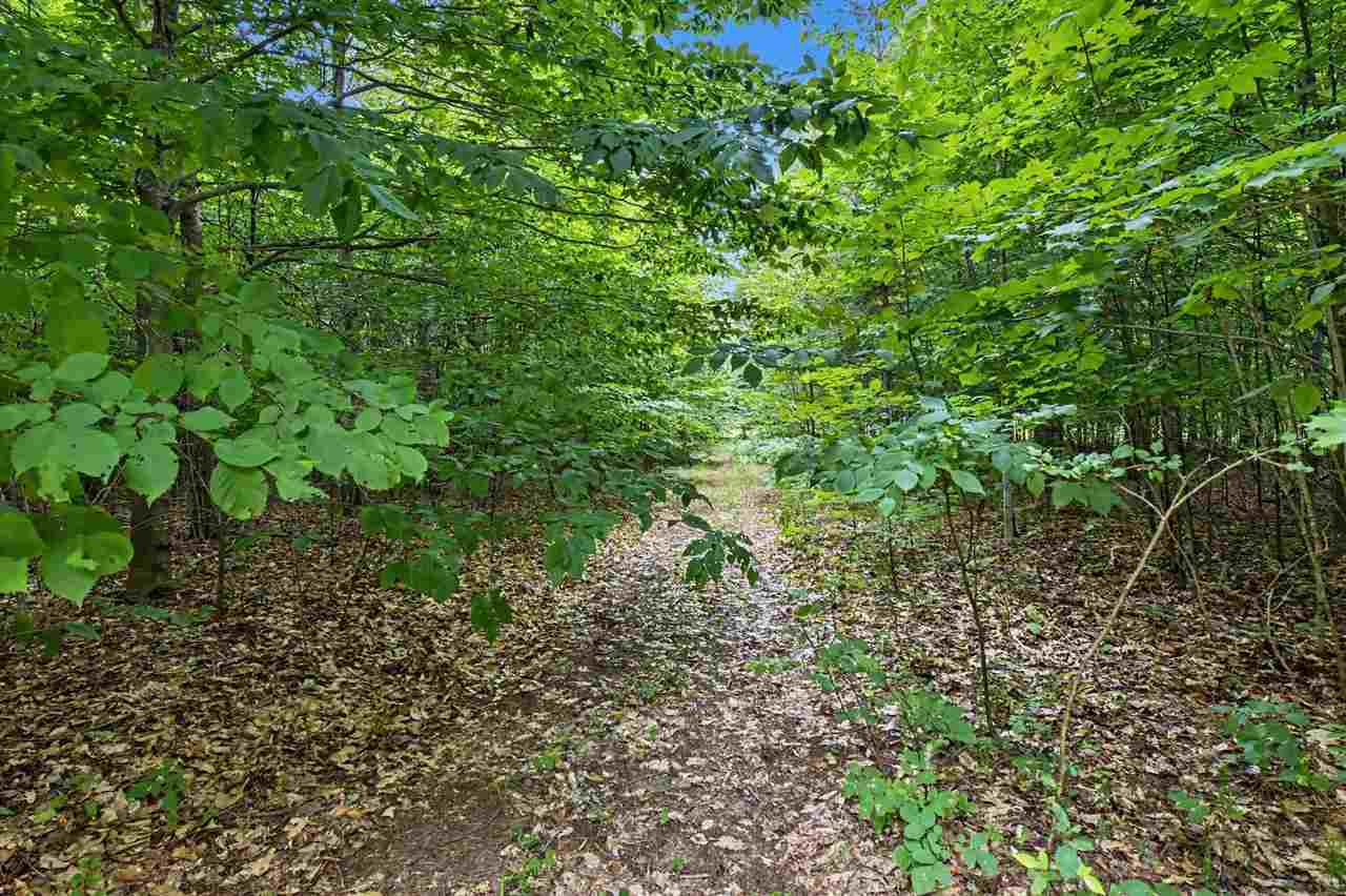 Lot 308 Goshawk Way Bellaire MI 49615