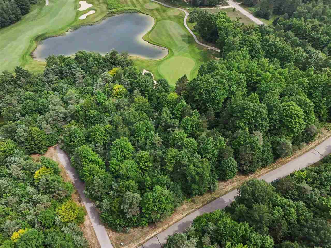 Lot 308 Goshawk Way Bellaire MI 49615