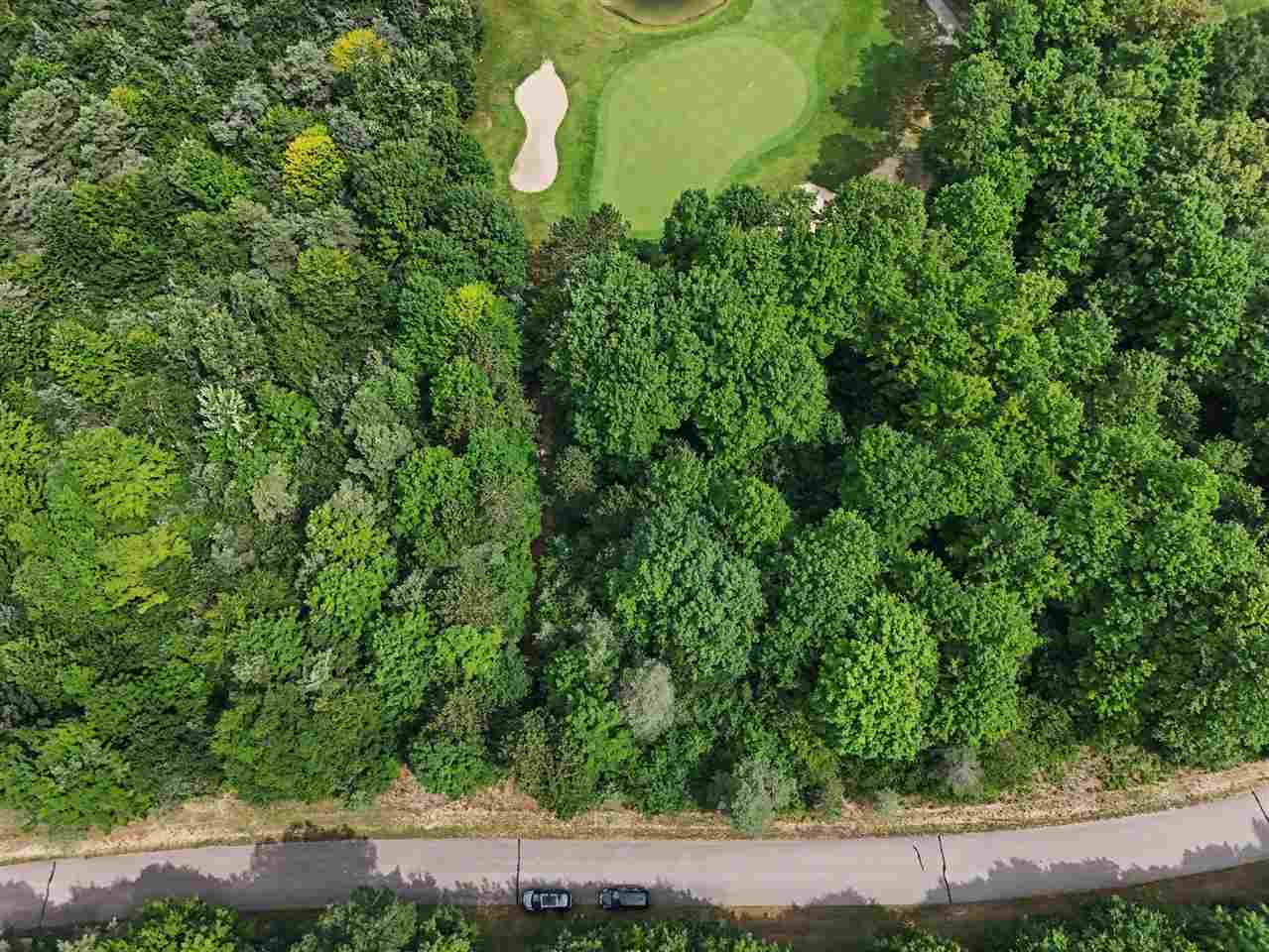 Lot 308 Goshawk Way Bellaire MI 49615