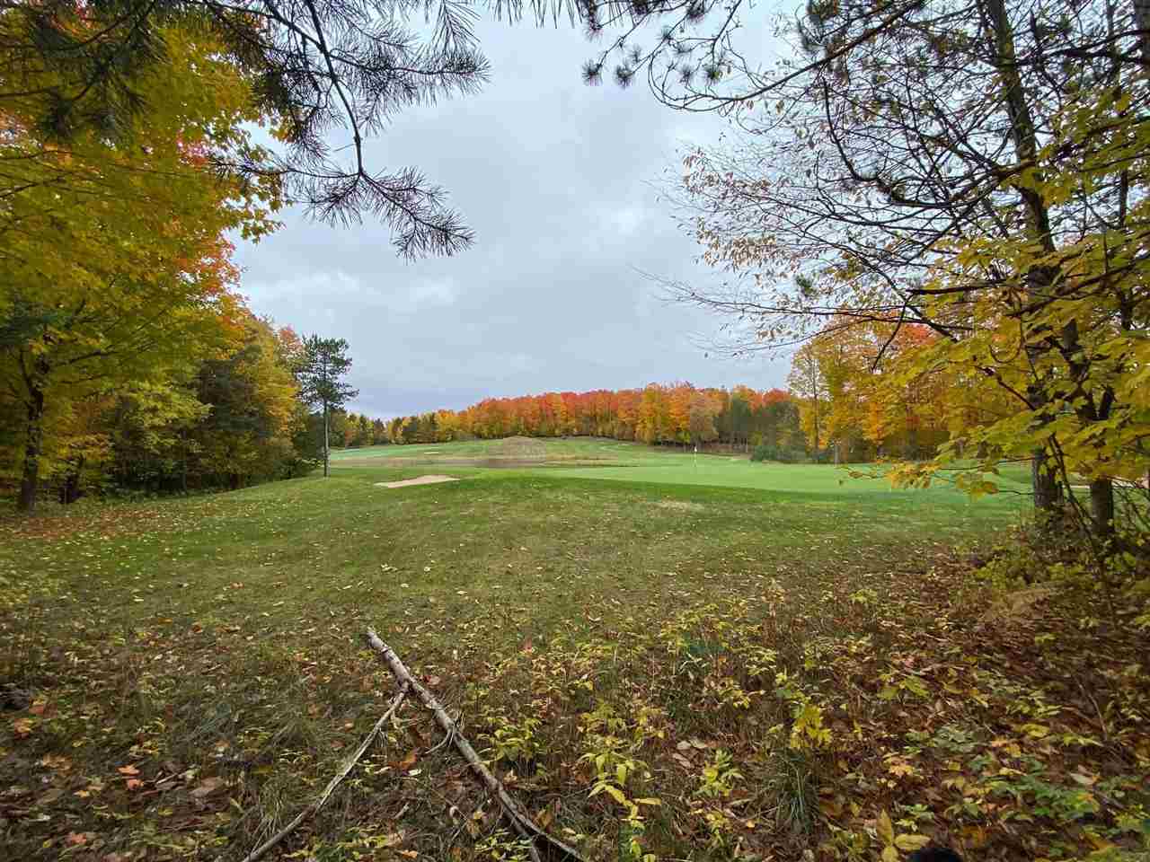 Lot 308 Goshawk Way Bellaire MI 49615