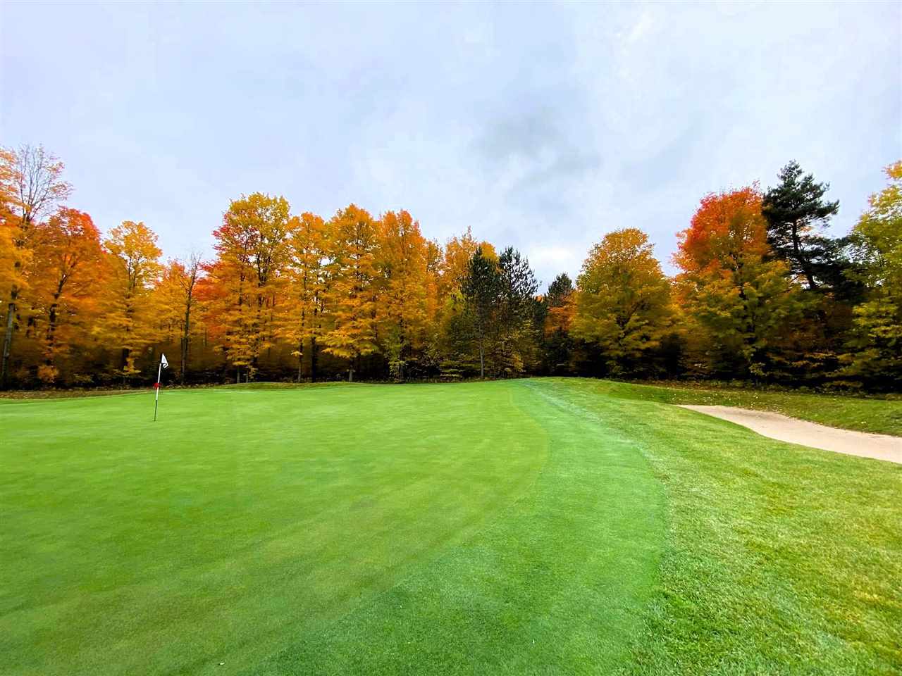 Lot 308 Goshawk Way Bellaire MI 49615