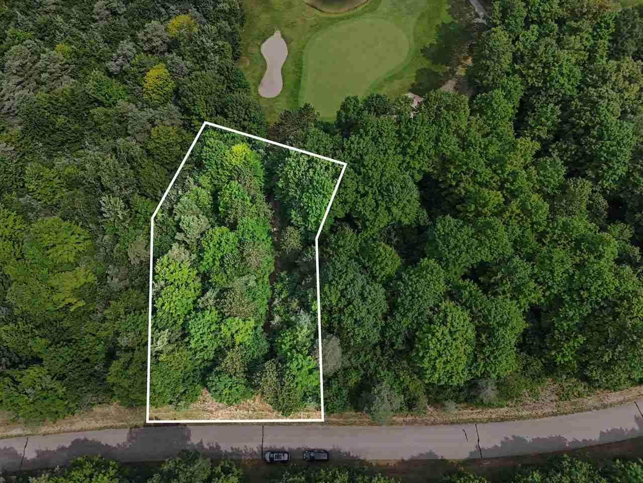 Lot 308 Goshawk Way Bellaire MI 49615
