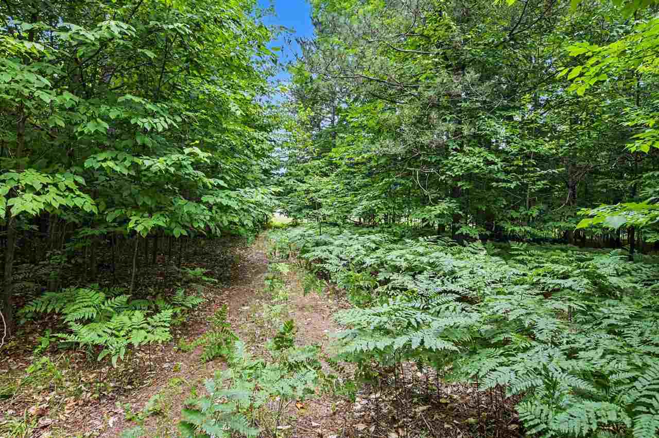 Lot 308 Goshawk Way Bellaire MI 49615