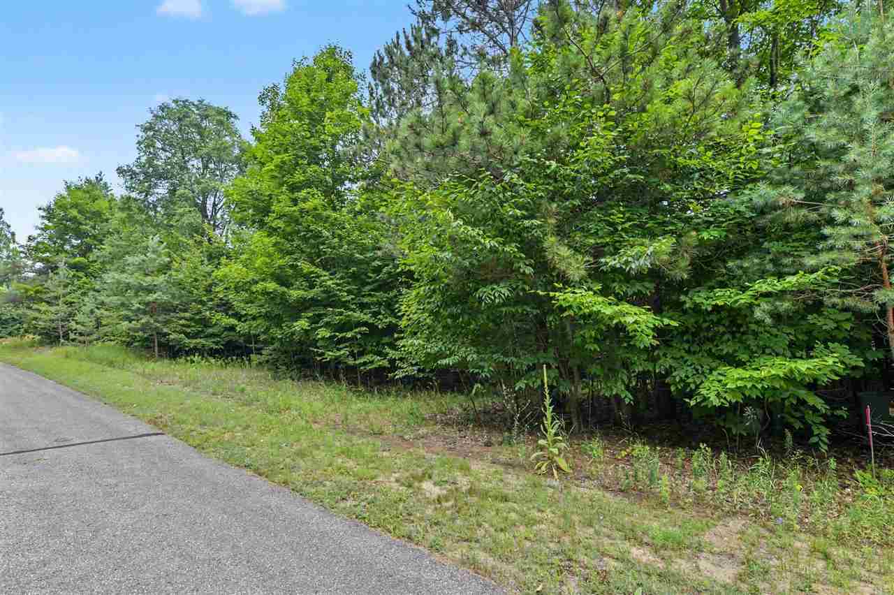 Lot 308 Goshawk Way Bellaire MI 49615