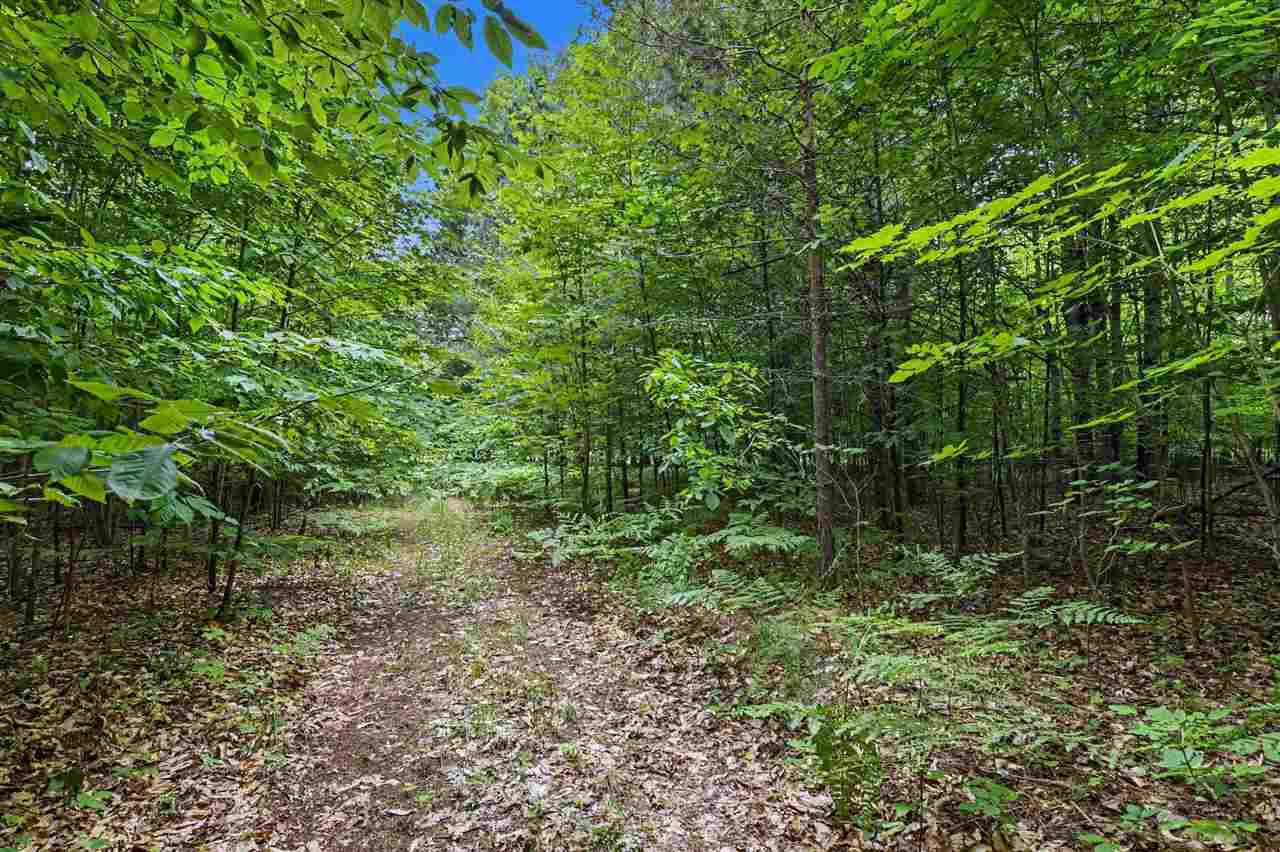 Lot 308 Goshawk Way Bellaire MI 49615