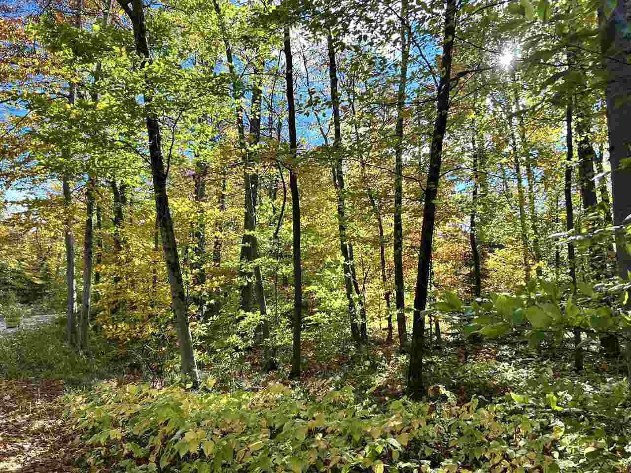 Lot 28 Forest Drive Mackinac Island MI 49757