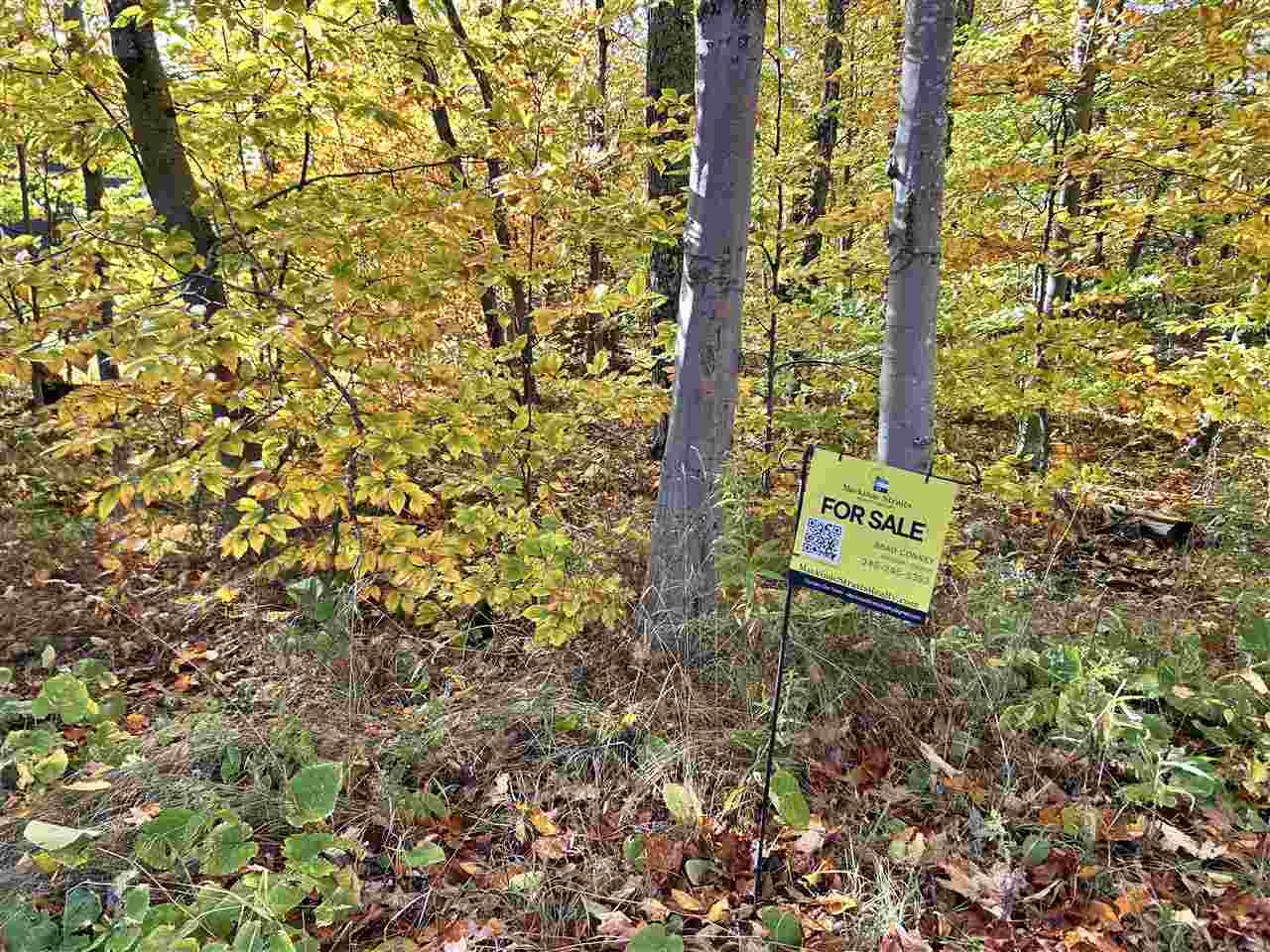 Lot 28 Forest Drive Mackinac Island MI 49757