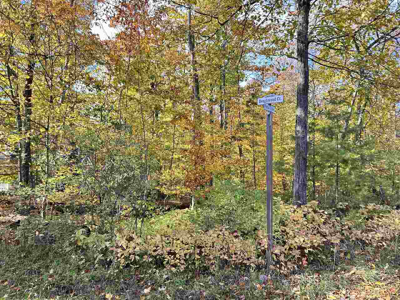 Lot 28 Forest Drive Mackinac Island MI 49757