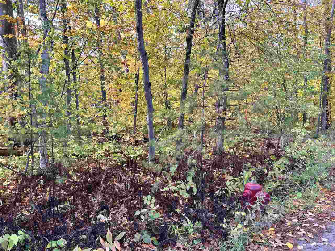 Lot 28 Forest Drive Mackinac Island MI 49757