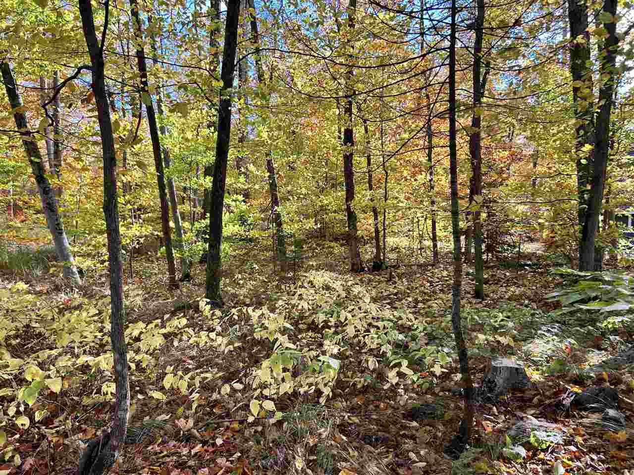 Lot 28 Forest Drive Mackinac Island MI 49757