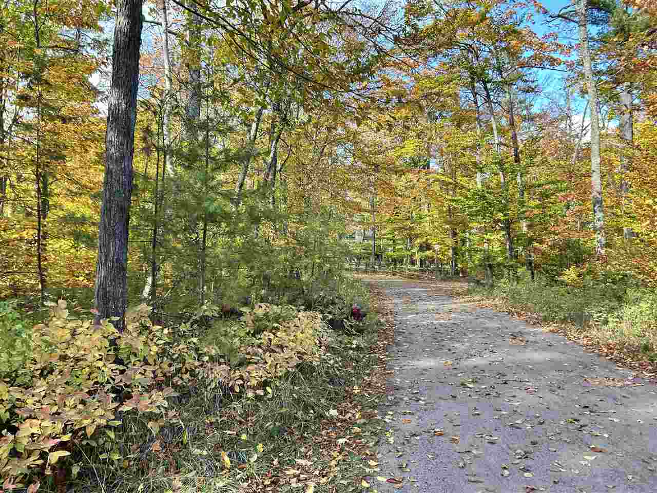 Lot 28 Forest Drive Mackinac Island MI 49757