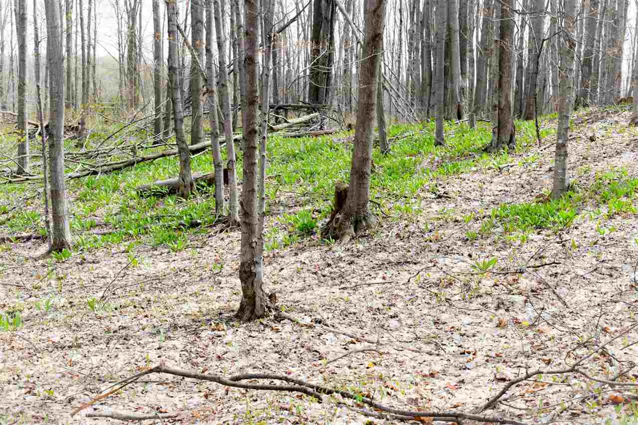 Tbd (Vacant) W Clute Road Boyne City MI 49712