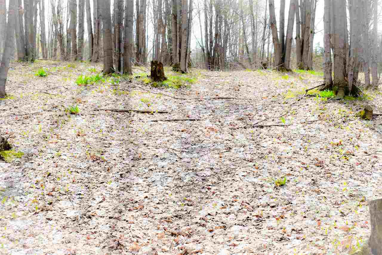 Tbd (Vacant) W Clute Road Boyne City MI 49712