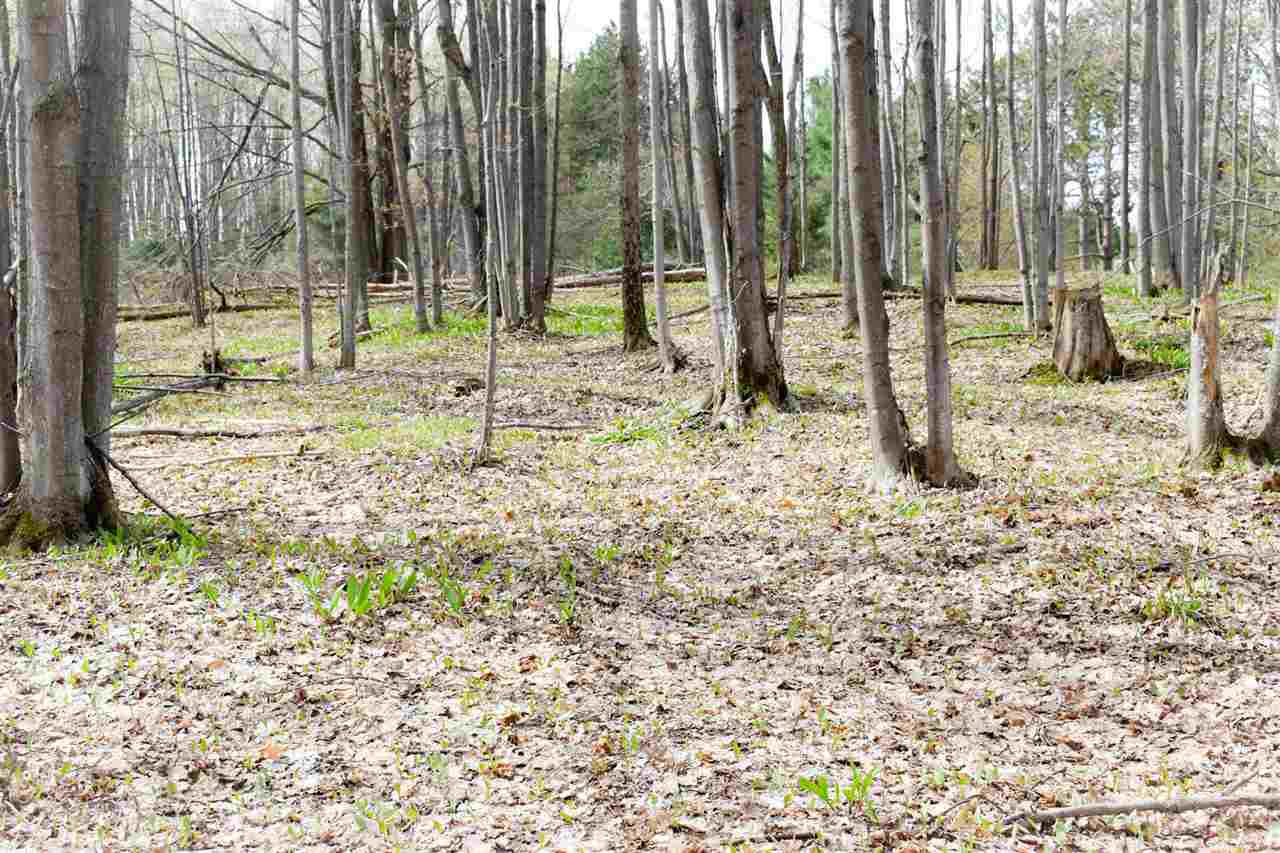 Tbd (Vacant) W Clute Road Boyne City MI 49712